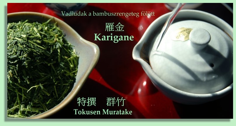 Karigane szártea Karigane szártea